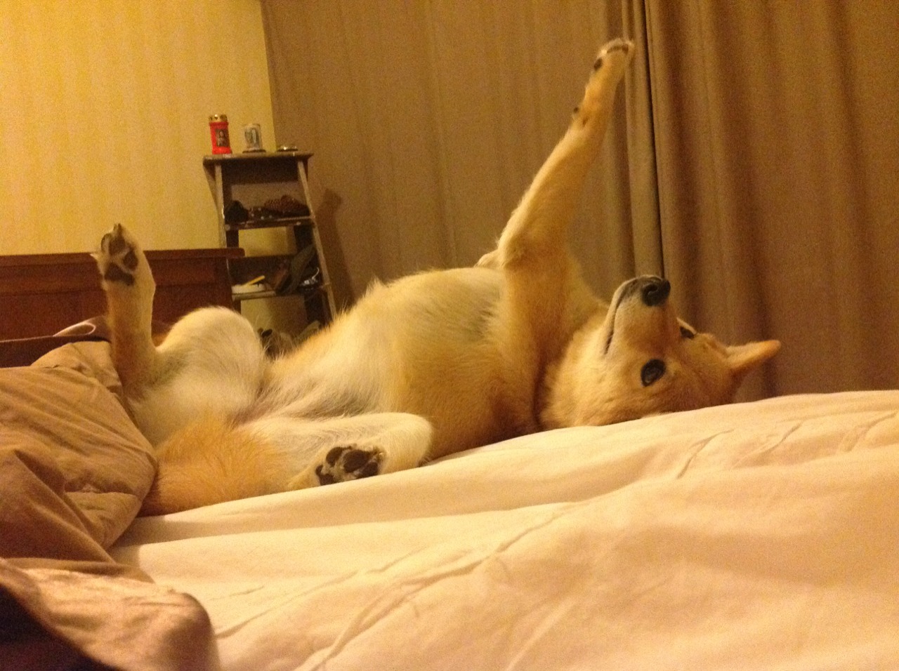 卡瓦哈尔制胜一击,阿森纳惊险击败英格兰国家队