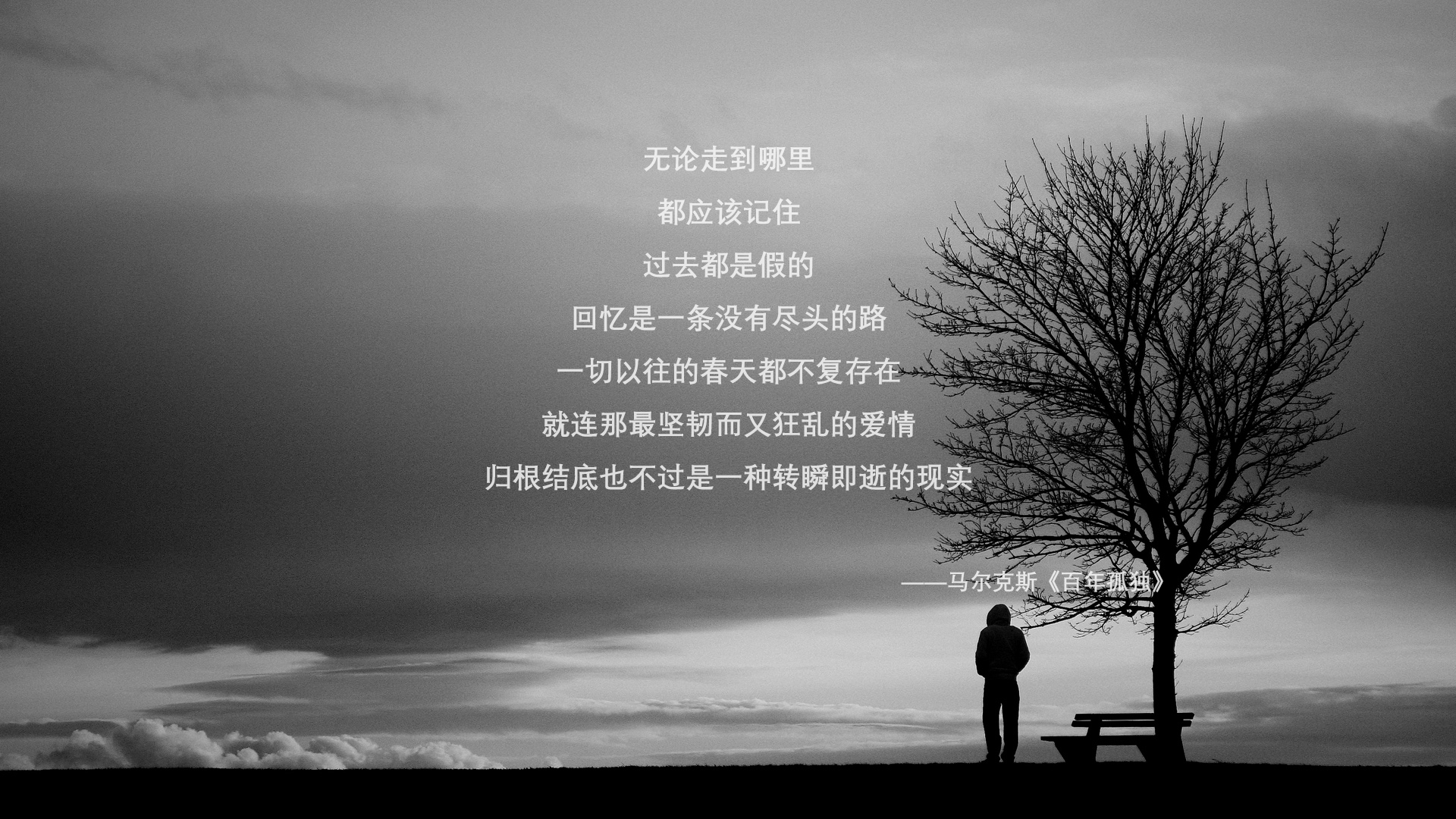 世界排名争夺战焦点战，猛龙撕裂防线踏平开拓者