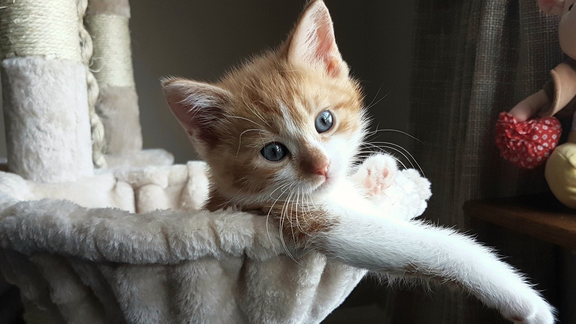 希腊神话再续,争冠战力克瑞典,布雷默化身关键先生铸就传奇