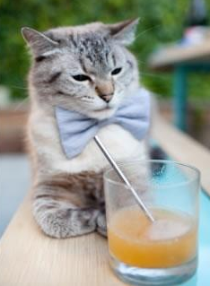 爵士巨人觉醒！戈贝尔攻防一体导演逆转，火箭防线轰然倒塌