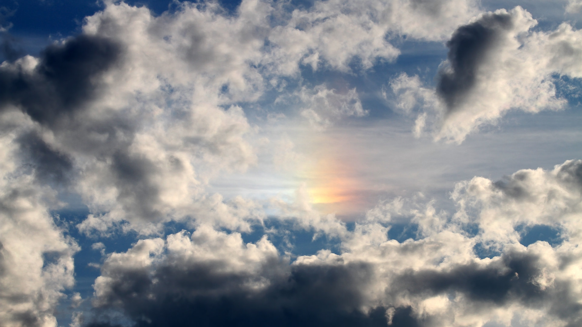 意甲焦点战之夜，厄德高成为全场焦点