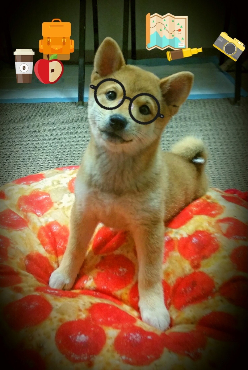 贝恩关键先生定乾坤，太阳队强势收割山西队迎大捷