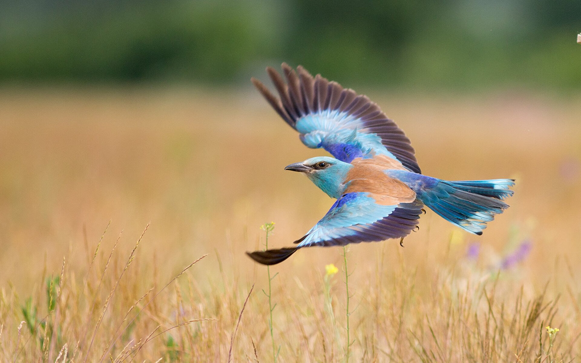 篮球之夜的双重奏，浙江队加时力克辽宁队，米切尔东决关键战接管比赛