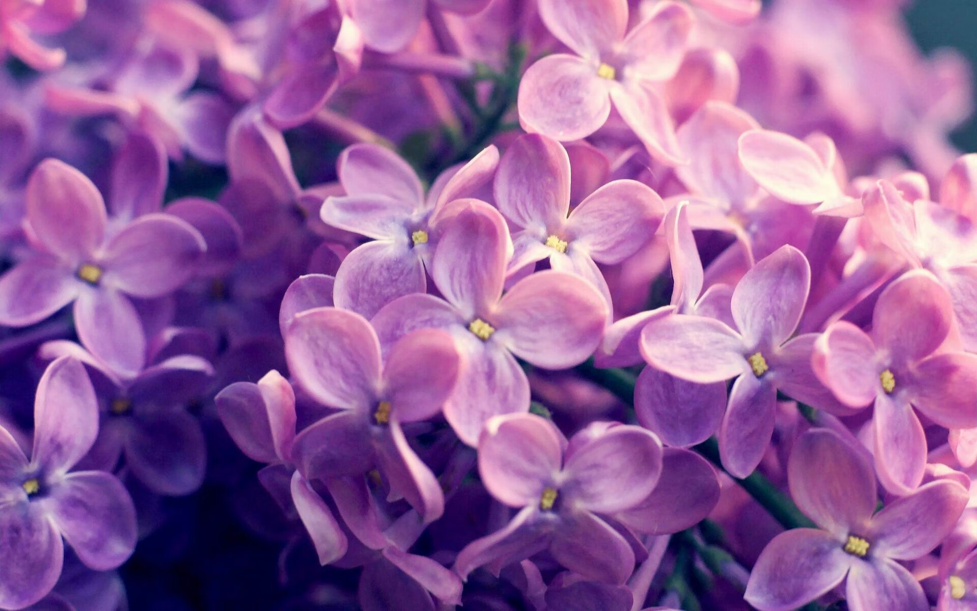 足球的两种极致浪漫，17秒闪电战与35岁的致命一击