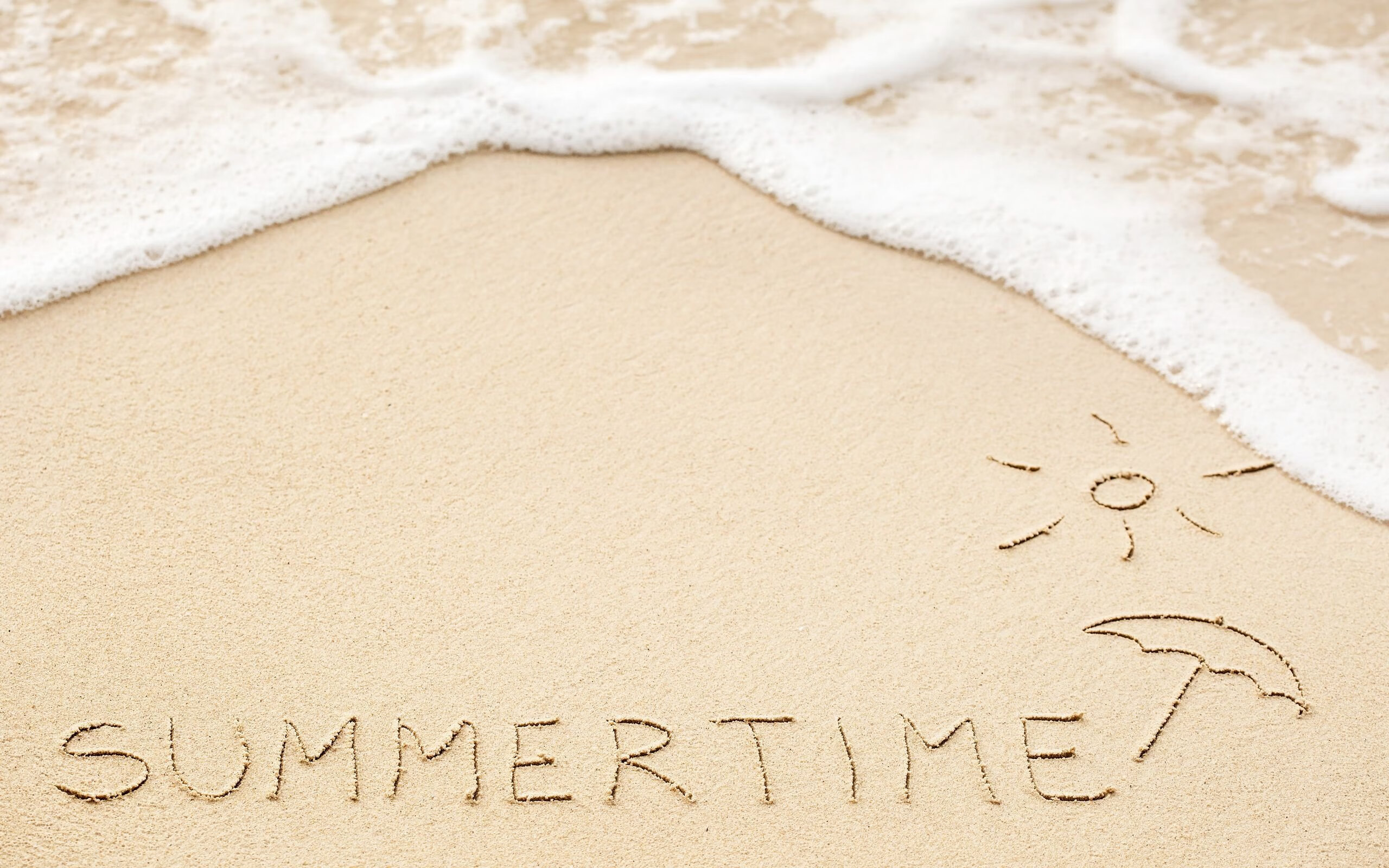 塔图姆，绿军指挥官如何驱动全场攻防节奏