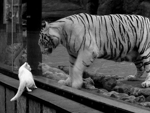 新星流水线与黄昏神话，当莱比锡的体系收割遇见莫德里奇的接管