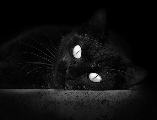 太阳打穿骑士，爱德华兹化身关键先生，照亮新一代的黎明